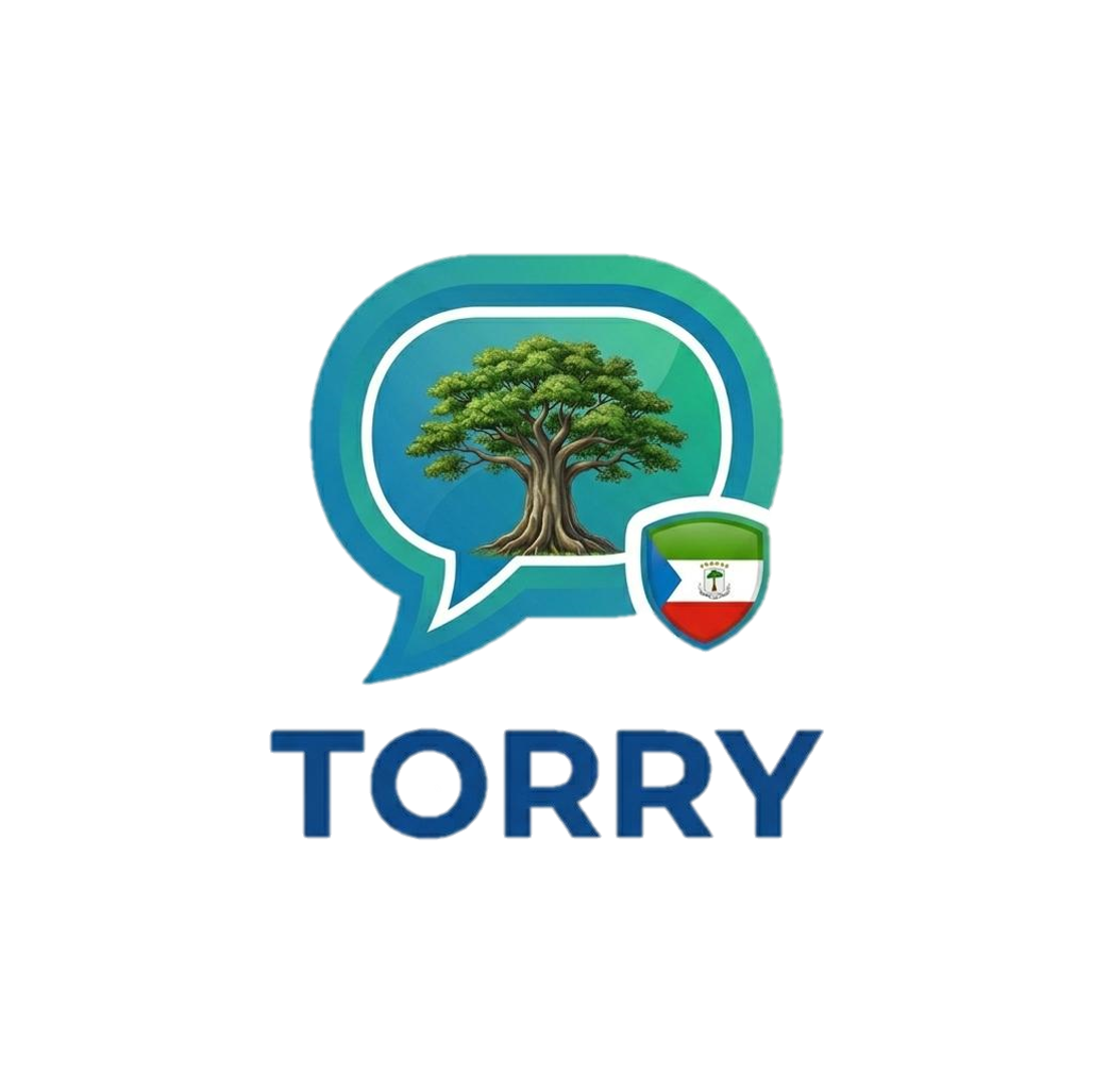 Toryy Logo